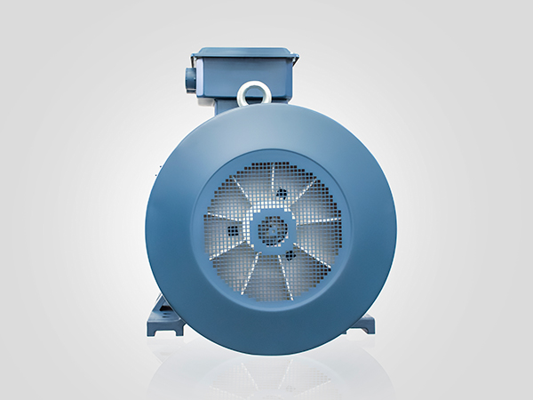 YE2-355M2-4 YE2-355M2-4